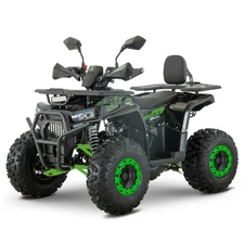 Бензиновый квадроцикл AFN125-2-5(MP3) черно-зеленый мотор объемом 125 кубов